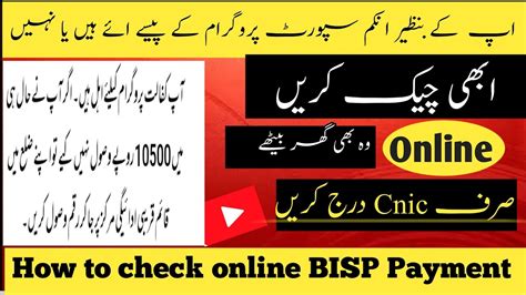 check bisp payment status online